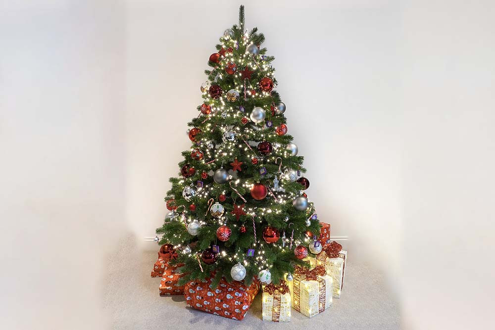 Greetings of President, Vice President and Prime Minister on Xmas Day